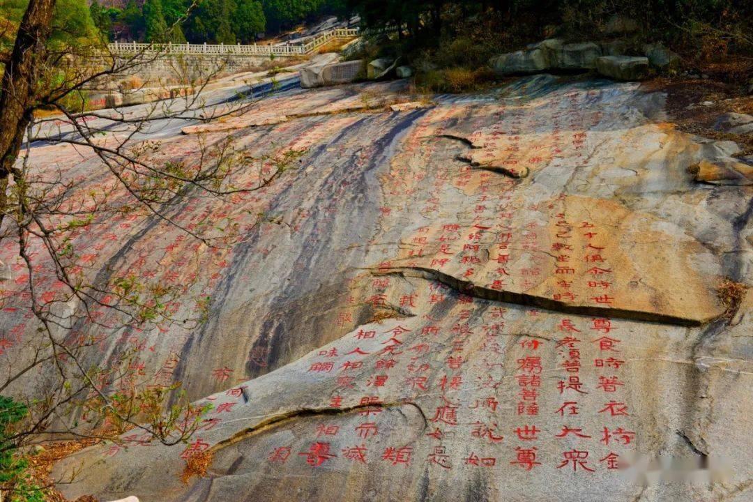 游戏开发者